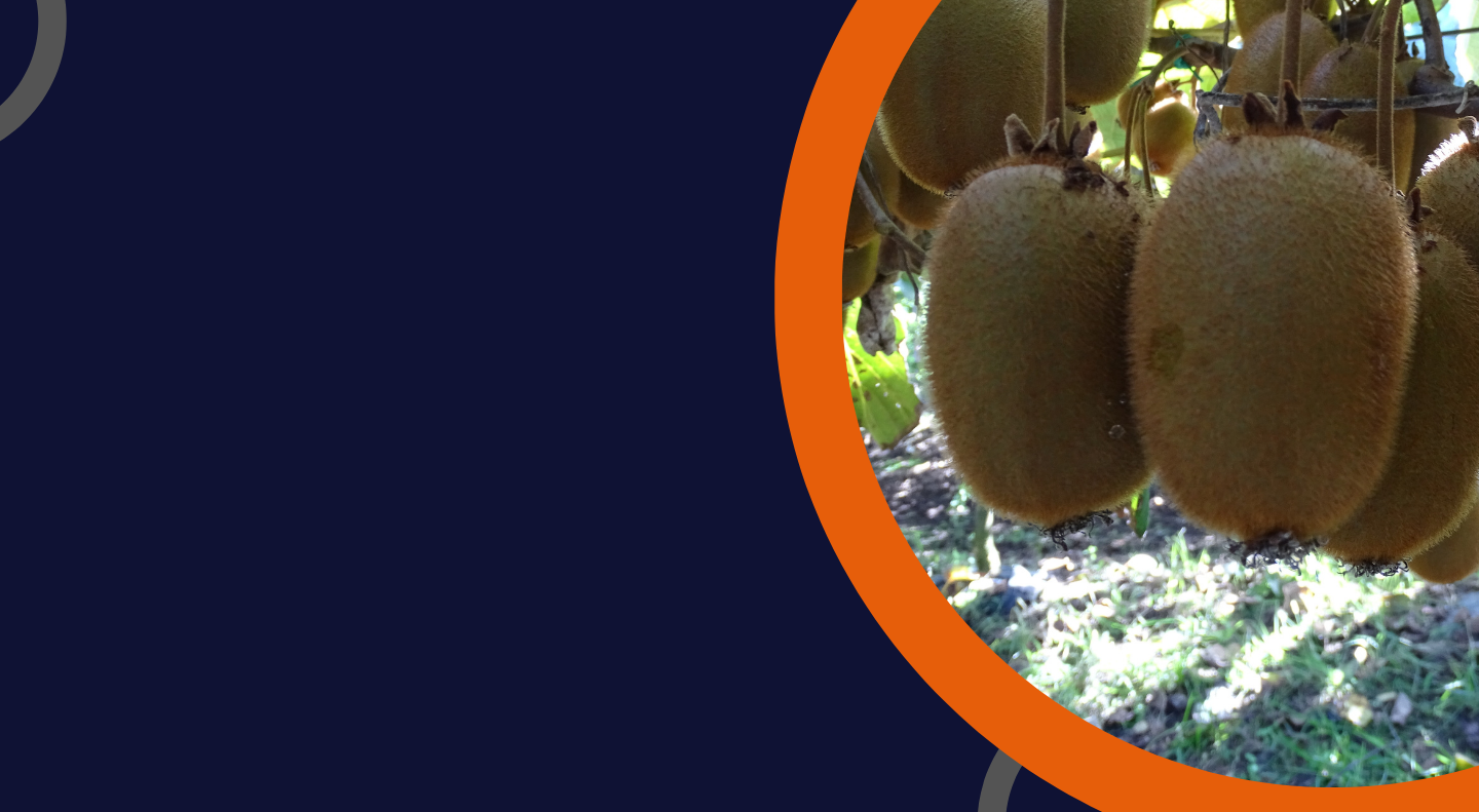 (Português) Seminário de apresentação dos resultados do projeto - GesPsaKiwi<