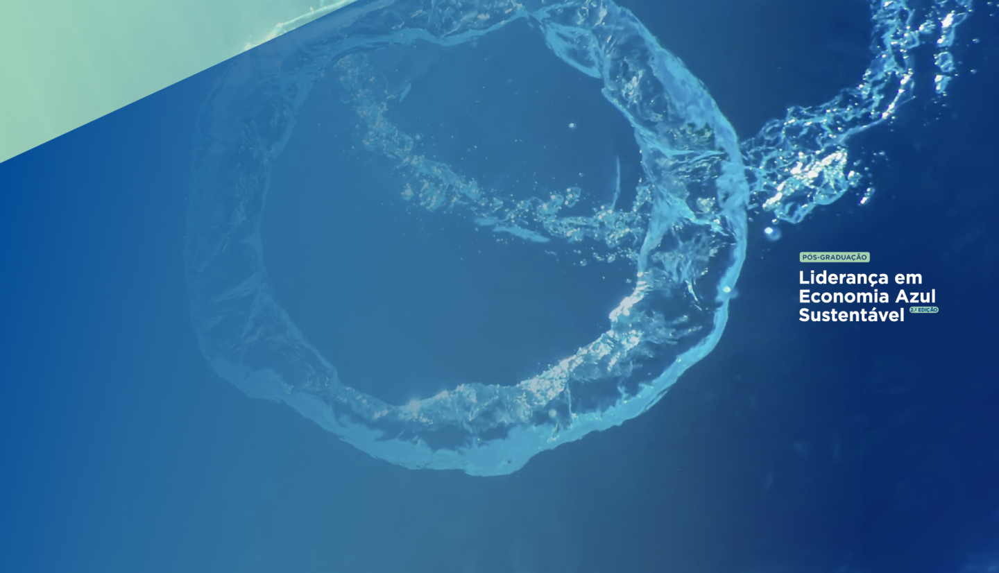 (Português) Candidaturas até 14 de dezembro<