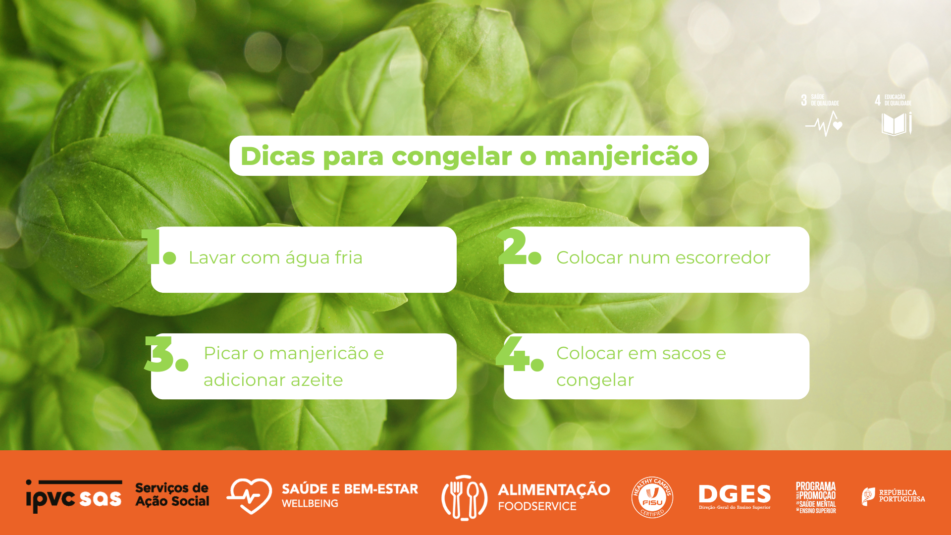 Congelar Manjericão