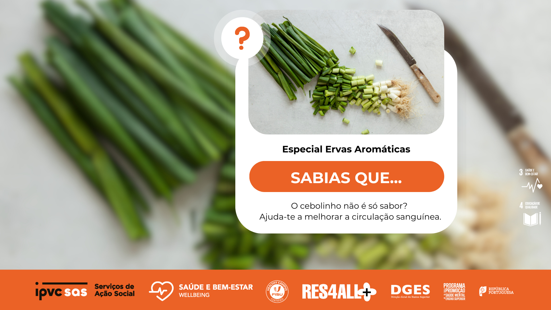 Especial ervas aromáticas - cebolinho