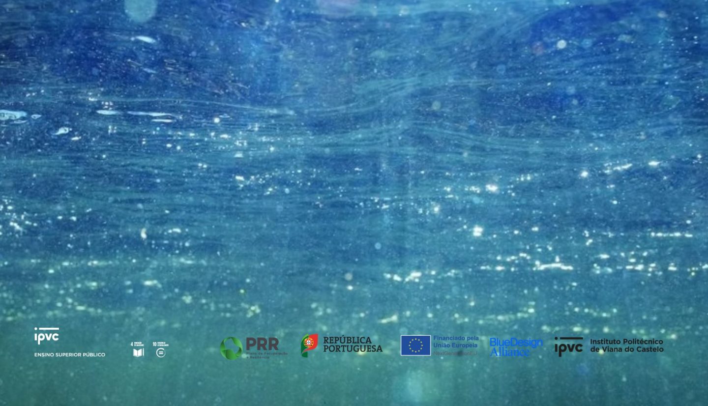 IPVC lança a 27.ª formação ligada  ao setor azul
